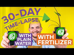 Elephant Ear Fuel Plant Fertilizer - Water-Soluble 20-10-20 - (1 or 2 LB bag)