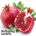 Two ripe Wonderful Pomegranate - Punica granatum fruits with green leaves—one whole, one cut open to show red seeds. Ideal for container growing. "Wellspring Gardens" appears in the bottom left corner.