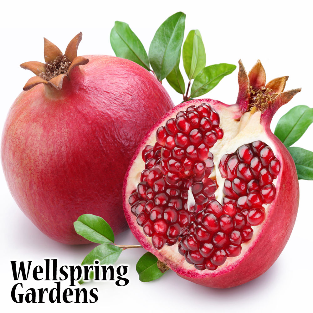Two ripe Wonderful Pomegranate - Punica granatum fruits with green leaves—one whole, one cut open to show red seeds. Ideal for container growing. "Wellspring Gardens" appears in the bottom left corner.