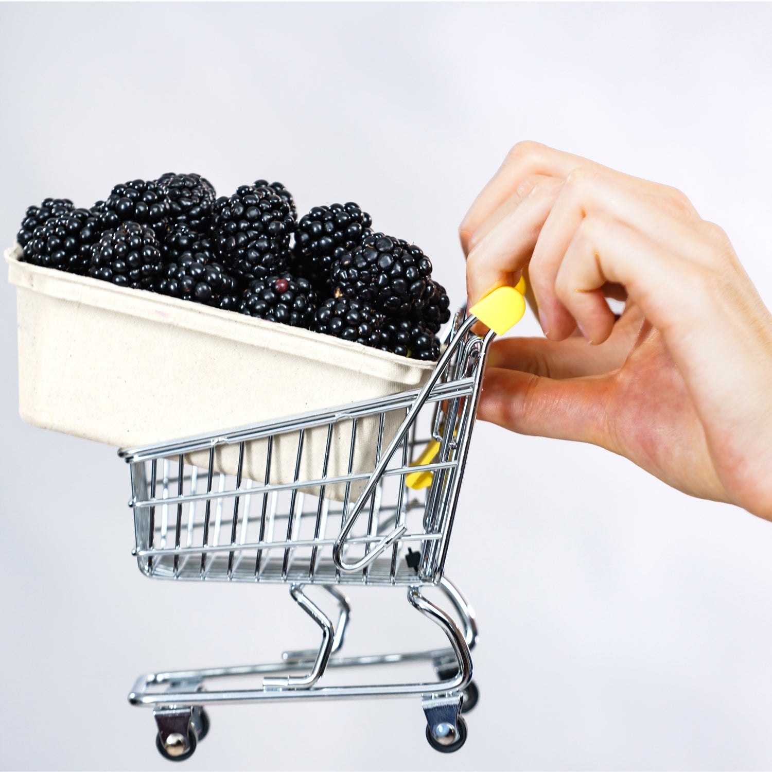 A hand holds a small shopping cart with a yellow handle, carrying fresh Triple Crown Blackberry - Rubus from Wellspring Gardens, known for being self-fertile and thornless, against a light background.