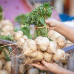 A person holds Wellspring Gardens’ Jicama (Pachyrhizus erosus) roots in one hand and leafy greens in the other, with more jicama visible in the background.