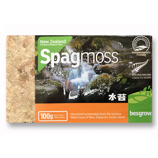 Besgrow Sphagnum Moss Plant Potting Soil - 100 grams
