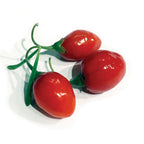 Three small, shiny red fruits with green stems from Wellspring Gardens’ Christmas Berry (Lycium carolinianum) lie on a white surface, resembling the vibrant berries of this Southeastern native shrub.
