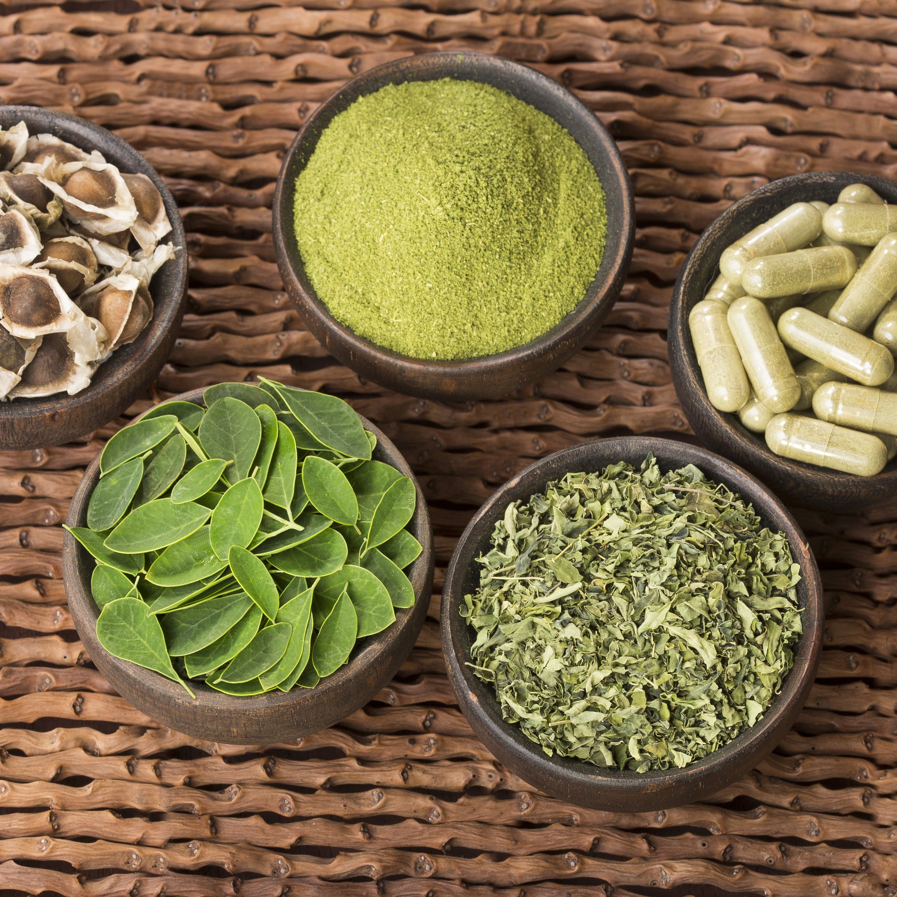 Five bowls featuring Moringa Tree (Ben Oil/Drumstick Tree) - Moringa oleifera by Wellspring Gardens—showing dried seeds, green powder, capsules, fresh leaves, and dried leaves—highlight the plant’s versatility as a supplement.