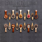 Wooden spoons show assorted spices on a dark surface, each labeled, with Wellspring Gardens Aframomum Ginger (Grains of Paradise) - Aframomum melegueta and Alligator pepper highlighted at the top center.