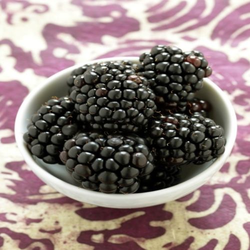 Kiowa Blackberry - Rubus